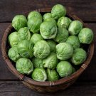 100 PCS Seeds Brussel Sprouts Italian Mezzo Nano Vegetables 100 PCS Seeds Brussel Sprouts Italian Mezzo Nano Vegetables