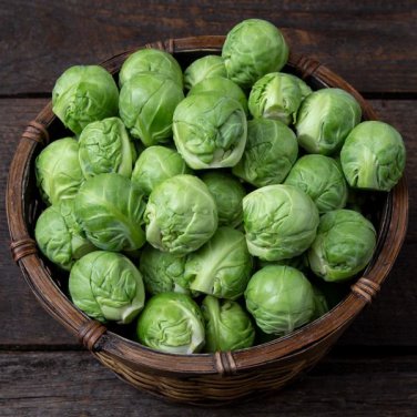 100 PCS Seeds Brussel Sprouts Italian Mezzo Nano Vegetables