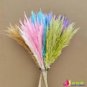 400 PCS Seeds Bulish Black Pampas Grass