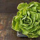 20 PCS Seeds Buttercrunch Lettuce 20 PCS Seeds Buttercrunch Lettuce