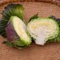 150 PCS Seeds Cabbage January King