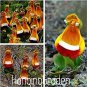 200 PCS Seeds Calceolaria tomentosa Seeds Yellow Slipper Flower Lady's Purse