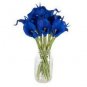 100 PCS Seeds Calla Flower Plants Rare Bonsai Calla Lily Flower Planting (Not Calla Bulbs)