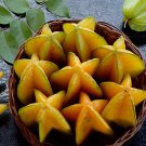 50 PCS Seeds Carambola