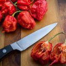 100 PCS Seeds Carolina Reaper Pepper Seeds Red 100 PCS Seeds Carolina Reaper Pepper Seeds Red