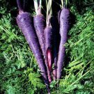 500 PCS Seeds Carrot Purple Sun F1 Seeds Professional Pack organic tasty vegetables 500 PCS Seeds Carrot Purple Sun F1 Seeds Professional Pack organic tasty vegetables