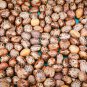 100 PCS Seeds Castor Bean