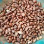 100 PCS Seeds Castor Bean