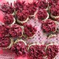 50 PCS Seeds Cedrela Sinensis Chinese Toon Organic Vegetable