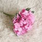 20 PCS Seeds Champagne Hydrangea Bonsai Rare ice Cream Hydrangea Flowers