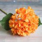 20 PCS Seeds Champagne Hydrangea Seeds Ice Cream Light Orange Flowers