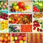 30 PCS Seeds Cherokee Purple Black Red Yellow Green Cherry Peach Pear Tomato