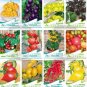 30 PCS Seeds Cherokee Purple Black Red Yellow Green Cherry Peach Pear Tomato