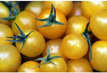 100 PCS Seeds Cherry Tomato Mini Golden Round Fruit