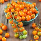 100 PCS Seeds Cherry Tomato Mini Golden Round Fruit