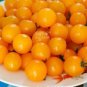 100 PCS Seeds Cherry Tomato Mini Golden Round Fruit