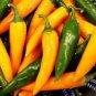 20 PCS Seeds Chilli Bulgarian Carrot Hot Pepper