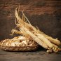 10 PCS Seeds Chinese  korean Panax Ginseng