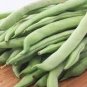 15 PCS Seeds Chinese Bean Seeds Contains Rich Oil Green Chinese Vegetables