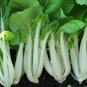 10 PCS Seeds Chinese Cabbage Autumn Vegetables