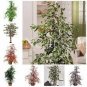 50 PCS Seeds Chinese Ficus Benjamina Bonsai Tree Plants Flowers
