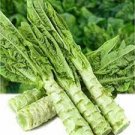 30 PCS Seeds Chinese Green Asparagus Lettuce 30 PCS Seeds Chinese Green Asparagus Lettuce