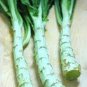 30 PCS Seeds Chinese Green Asparagus Lettuce