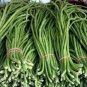 20 PCS Seeds Chinese Green Long Cowpea Vegetable