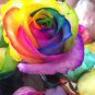 50 PCS Seeds Chinese New Rare Small Rainbow Rose Shrub Flower