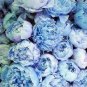 20 PCS Seeds Chinese Paeonia Suffruticosa Peony Light Blue Double Flowers Ball Type