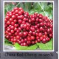 20 PCS Seeds Chinese Red Sweet Cherry Fruit