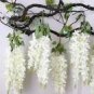 100 PCS Seeds Chinese White Wisteria Rare Heirloom Wisteria Sinensis Alba