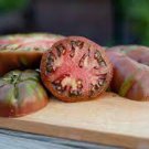 25 PCS Seeds Chocolate Bright Tomato Seeds Heirloom Tasty Tomato Fruit