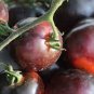 25 PCS Seeds Chocolate Bright Tomato Seeds Heirloom Tasty Tomato Fruit