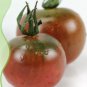 25 PCS Seeds Chocolate Bright Tomato Seeds Heirloom Tasty Tomato Fruit