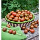100 PCS Seeds Chocolate Cherry Tomato Plant 100 PCS Seeds Chocolate Cherry Tomato Plant