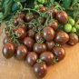 100 PCS Seeds Chocolate Cherry Tomato Plant