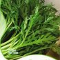 120 PCS Seeds Chrysanthemum Coronarium Vegetable