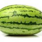 20 PCS Seeds Colorful Ellipse Sweet Melon