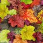 200 PCS Seeds Colorful Heuchera Bonsai Potted Coral Bell Flower Plants