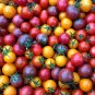 20 PCS Seeds Colorful Small Cherry Tomato Organic