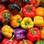 25 PCS Seeds Colorful Sweet Pepper High-quality Multicolored Pepper