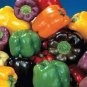 25 PCS Seeds Colorful Sweet Pepper High-quality Multicolored Pepper