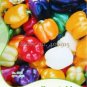 25 PCS Seeds Colorful Sweet Pepper High-quality Multicolored Pepper