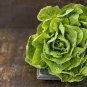 120 PCS Seeds Cream Lettuce Seeds Butter Head Little Gem Organic Natural Vegetable