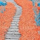 100 PCS Seeds Creeping Thyme Seeds Rock CRESS Plant