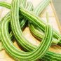 50 PCS Seeds Cucumber Armenia Vegetable