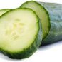 20 PCS Seeds Cucumber Japanese Short Thick Vegetable