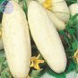 10 PCS Seeds Cucumber Long White Wonder