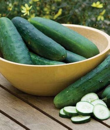 25 PCS Seeds Dark Green Cucumber